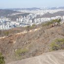 인왕산산불지역현장탐사 이미지