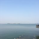 뜰앞바다 이미지