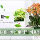 조아그린 이미지
