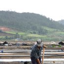 슬로트래블 이미지