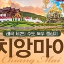 골든여행사