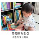 전집대여 서비스 '똑똑한부엉이' 3개월 실제 사용 후기(놀라운 자연&amp;베이비올 명화음악)