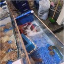 소사38소갈비살 이미지