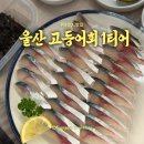 읍내로 | 울산 고등어회 맛집 | 명촌 횟집 읍내해물점빵 | 아빠랑 오빠랑 재방문 솔직 후기