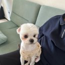 동네개발소 이미지