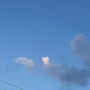 자작도조은민박 이미지