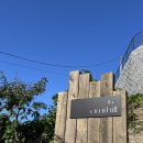 헬로우힐연인산캠핑장 | 연천 신생 아미힐캠핑장 E구역 애견동반 어반사이드 안킬로 돔쉘터