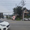 멍자네 | 천안애견동반식당 천안에 이런 곳이? 멍자네 애견카페 방문 후기