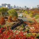 한밭수목원 이미지