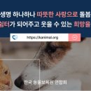 동물보육원 이미지