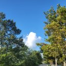 kbs사이클대회 감독자 회의 | ▣ 제24회 문화체육관광부장관배 철인3종선수권대회 후기