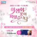 강원이벤트 네이버블로그