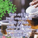 칠봉이네 이미지