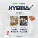 에이치와이모터스 이미지