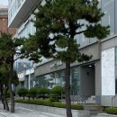 해운대백병원 사거리(백병원 앞) 이미지