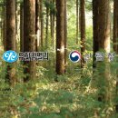 유한킴벌리 주식회사 이미지