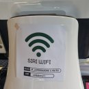 시리베이커리금오산점 | 구미 금리단길 애플휘낭시에가 맛있는 시리베이커리 금오산점 후기