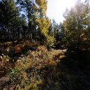 양덕2농장 이미지