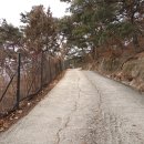 홍릉초교 이미지