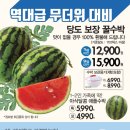 어메이징 데이