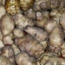 맥반골농원 이미지