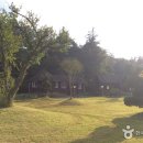 그린티하우스 이미지