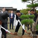 감쪽같이 이미지