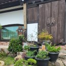 진도힐링민박 이미지