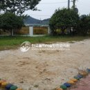 여천초등학교병설유치원 이미지