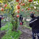 소보면사무소 이미지