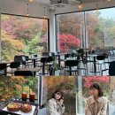 하우카페 | 시흥 카페 추천 단풍뷰를 볼수 있는 통창카페, 내돈내산 후기<하우 앤 여우>