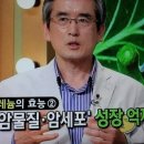 [엄지의제왕]암,질병 예방에 좋은 셀레늄의 효능 이미지