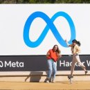 메타로라 이미지