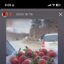 쌍림농장 이미지