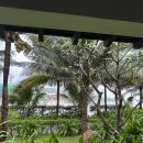 달푸르츠 | 여행 - 아미아나 리조트 조식,수영장,안토이배달,해피아워,포나가르사원,롯데마트,씀모이가든 배달,미미...