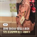 청주 현대백화점 하이산 팝업스토어 경량 포켓백팩 V2 핑크 구매 후기