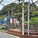 대포동 등명대 이미지