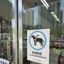 광주호남대점다이소 이미지