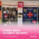 대연시장약국 이미지