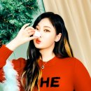 애리영