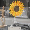 도안초등학교 | [도안동필라테스] 리주클래식필라테스 1:1수업 후기