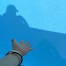 바하펜션 이미지