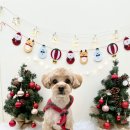 뽀프퍼피 이미지