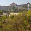 백송고등학교 이미지