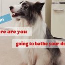 멍그라밍 이미지