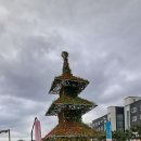 삼척해수욕장B 이미지