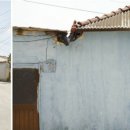 4색여행 이미지