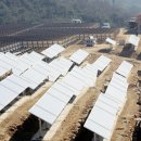 김동철 태양광발전소 이미지