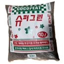 아프리카25도 | 징미허브 실패없이 키우는 법 ㅣ3개월 후기 이렇게 관리하세요