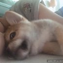 어매밥줘 이미지